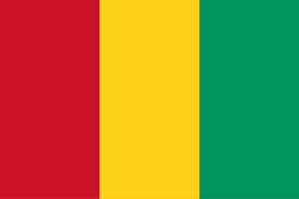 drapeau guinée